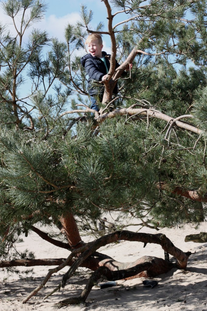 52-14 - his happy place