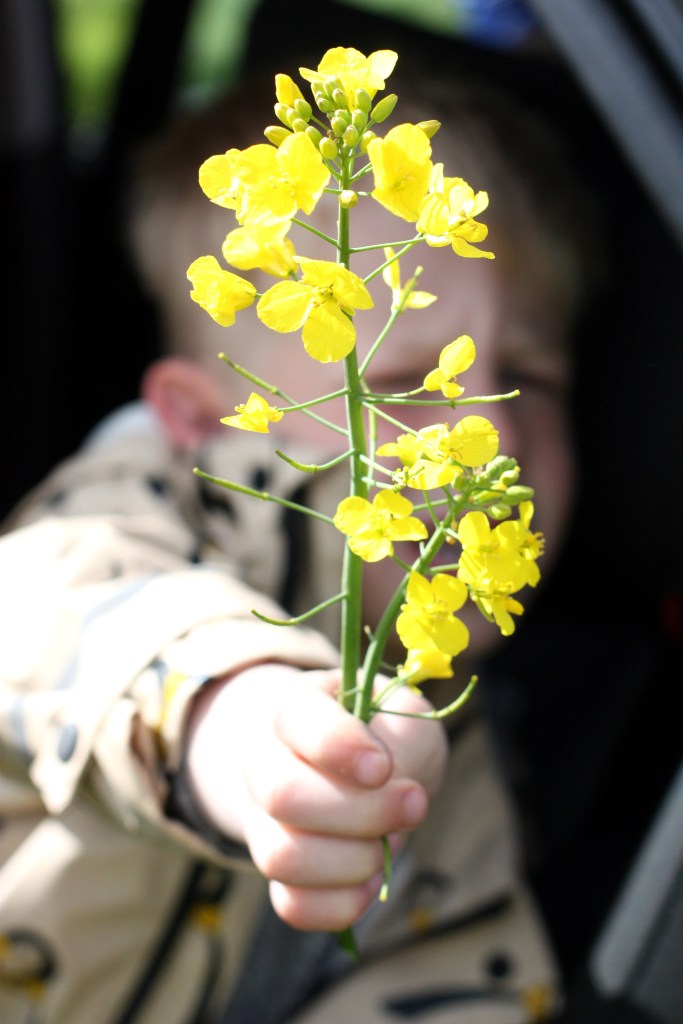 52-18 - here mum, for you