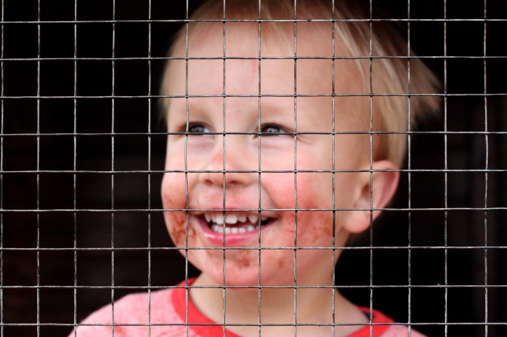 52-18 - our little chicking is anxiously waiting for the chickens to arrive