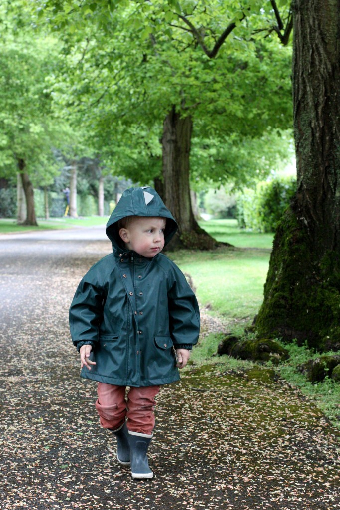 52-19 - Taking in the world