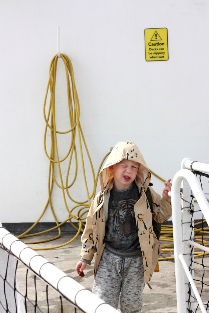 52-19 - What are you saying