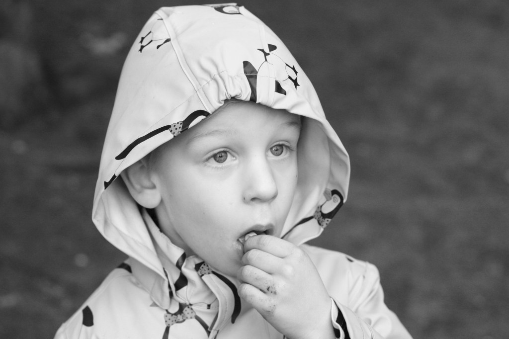 52-5 - eating sweets and dreaming