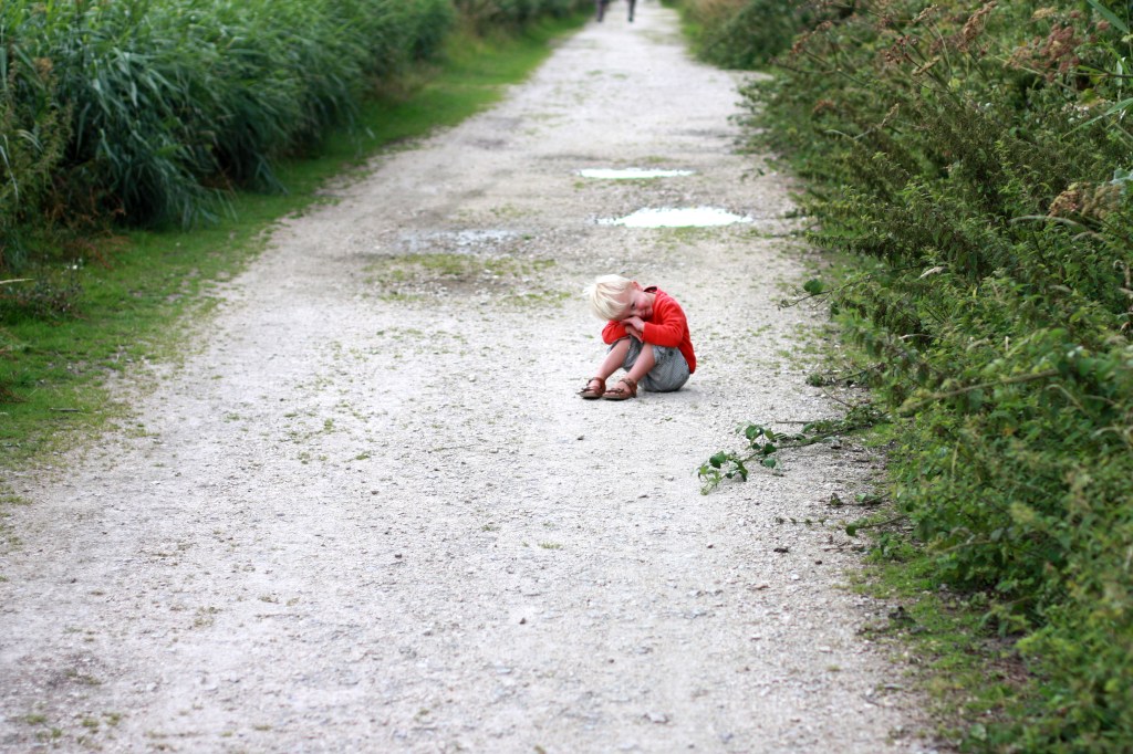 52-31 - classic two year old