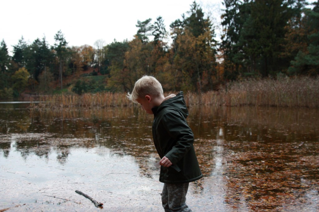 52-45 - no photos allowed. This is all I could take. In a pretty Autumn environment