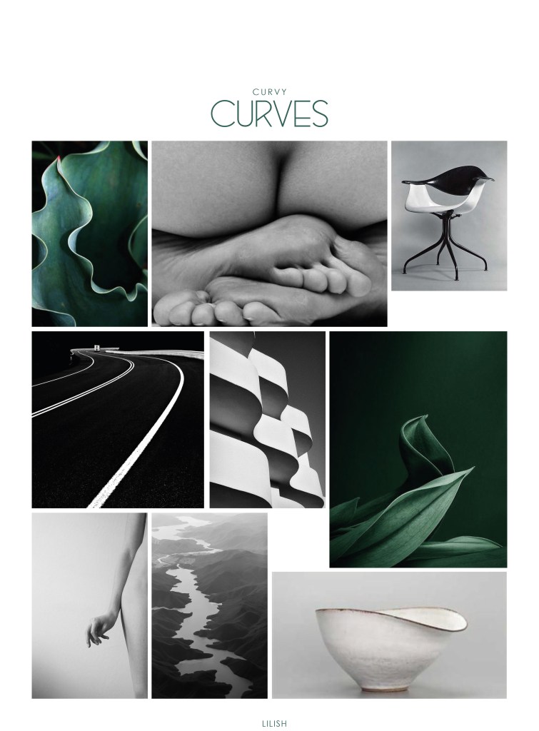 LB 20160111- curvy curves 1.indd